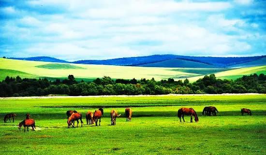 内蒙古,辽阔草原的绿色明珠之旅