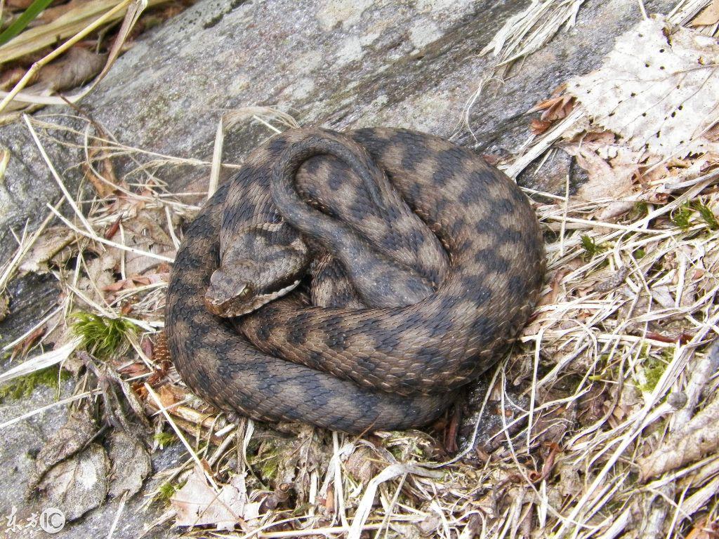 吉林，历史与现代交织的叙事