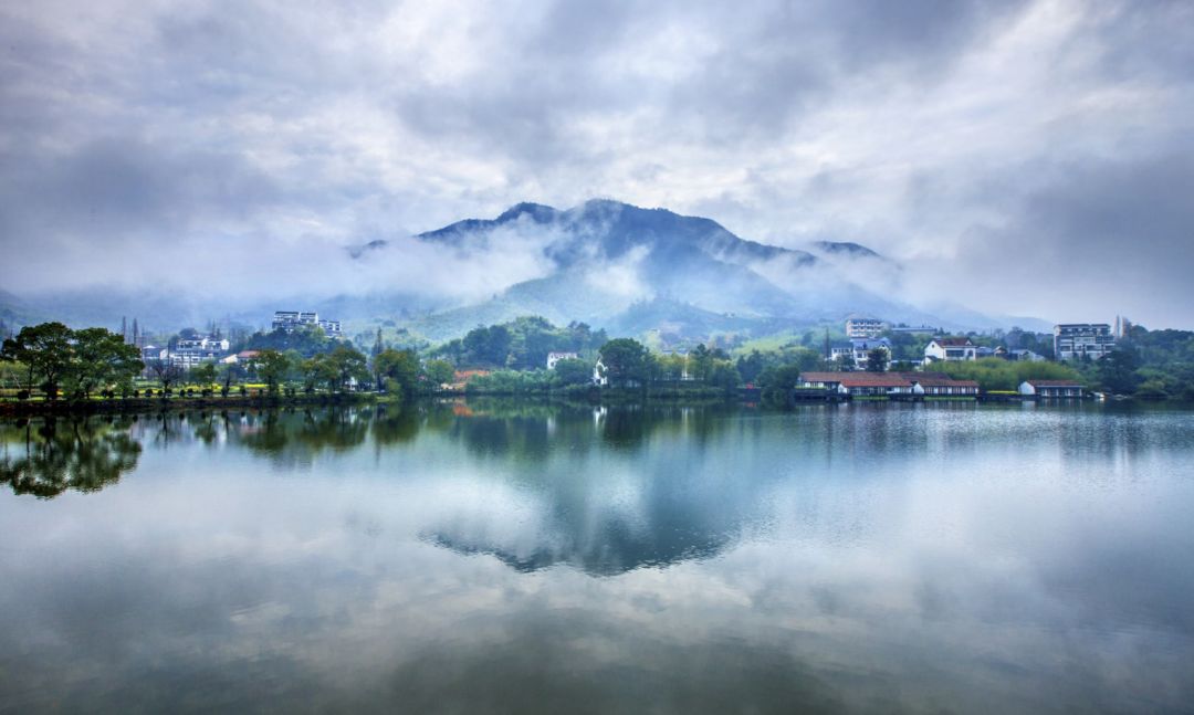 浙江绿色崛起,创新驱动引领高质量发展新引擎