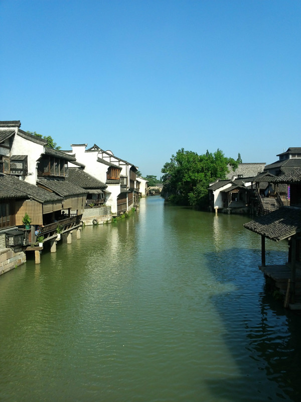 浙江绿色崛起,创新驱动引领高质量发展新引擎