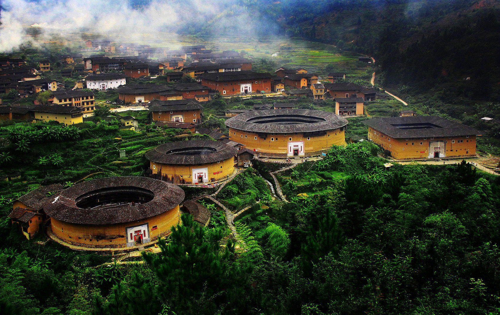 福建绿意盎然的温暖之地