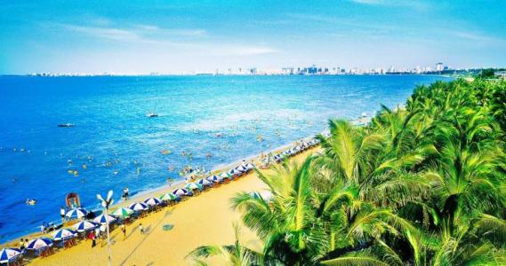 海南热带风情之旅的魅力体验