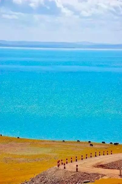 青海，共聚一堂，共话发展——领导与同胞的盛会