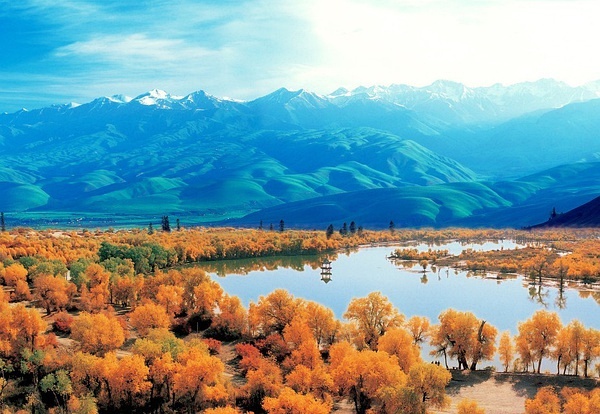 探寻新疆，神秘与美丽交织的土地